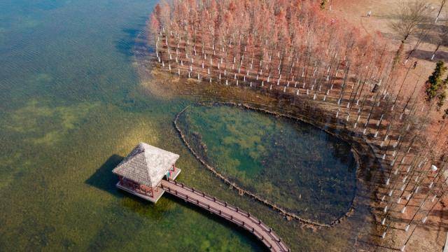 水坑、泥巴地…… 请叫我湿地，我比你想象的更重要！




水坑、泥巴地…… 请叫我湿地，我比你想象的更重要！