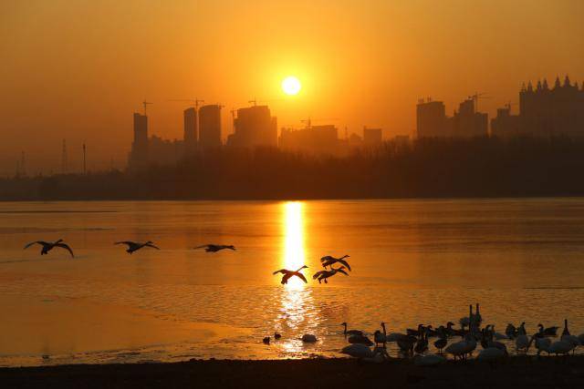 水坑、泥巴地…… 请叫我湿地，我比你想象的更重要！




水坑、泥巴地…… 请叫我湿地，我比你想象的更重要！