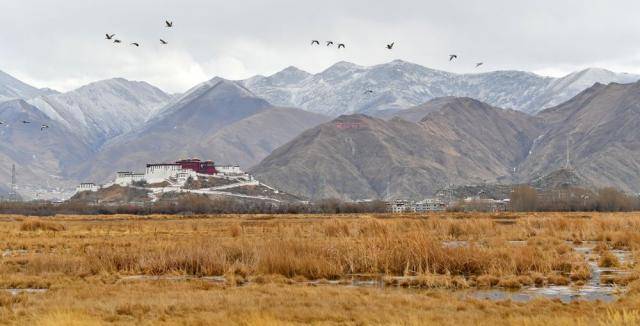 水坑、泥巴地…… 请叫我湿地，我比你想象的更重要！




水坑、泥巴地…… 请叫我湿地，我比你想象的更重要！