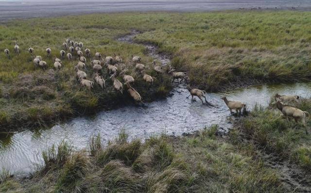 水坑、泥巴地…… 请叫我湿地，我比你想象的更重要！




水坑、泥巴地…… 请叫我湿地，我比你想象的更重要！