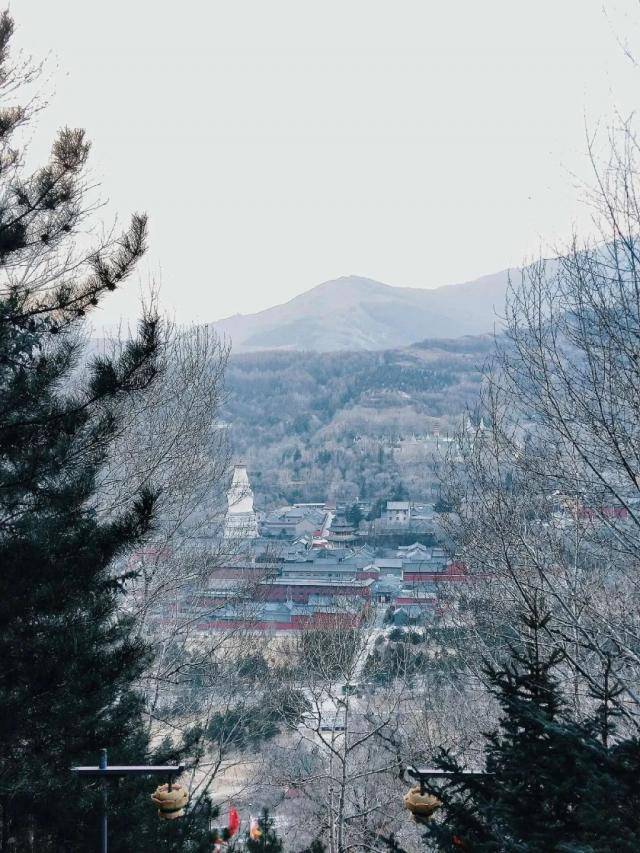 瞬间丨镜头下，山大学子忆冬~望春~