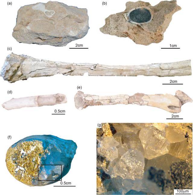 关于哈密翼龙化石风化机理的最新研究成果对极干旱高盐碱地区的化石保护具有普遍意义