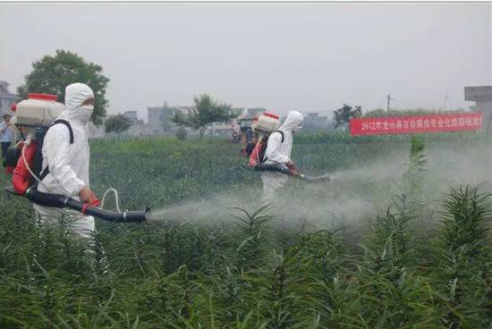 浙江两夫妻离奇中毒，差点丧命！一切竟跟家里这东西有关？