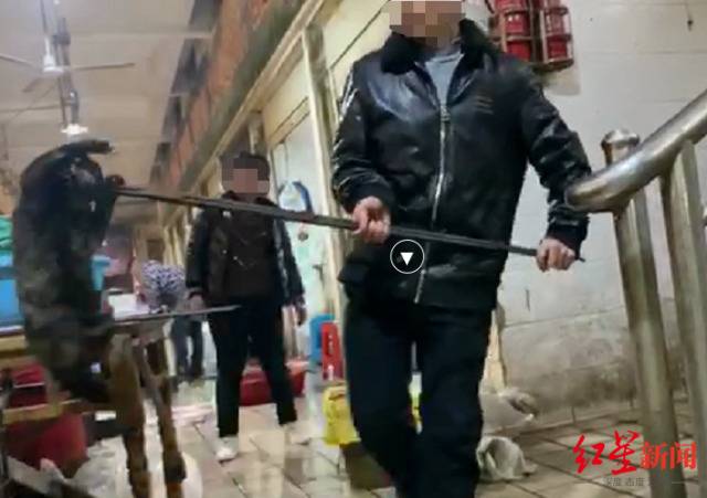 ↑视频显示，一男子用铁夹将猫从笼子中夹出