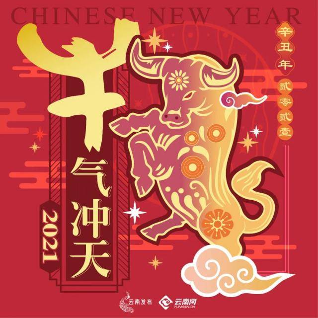 金牛送福，云南发布给您拜年啦！