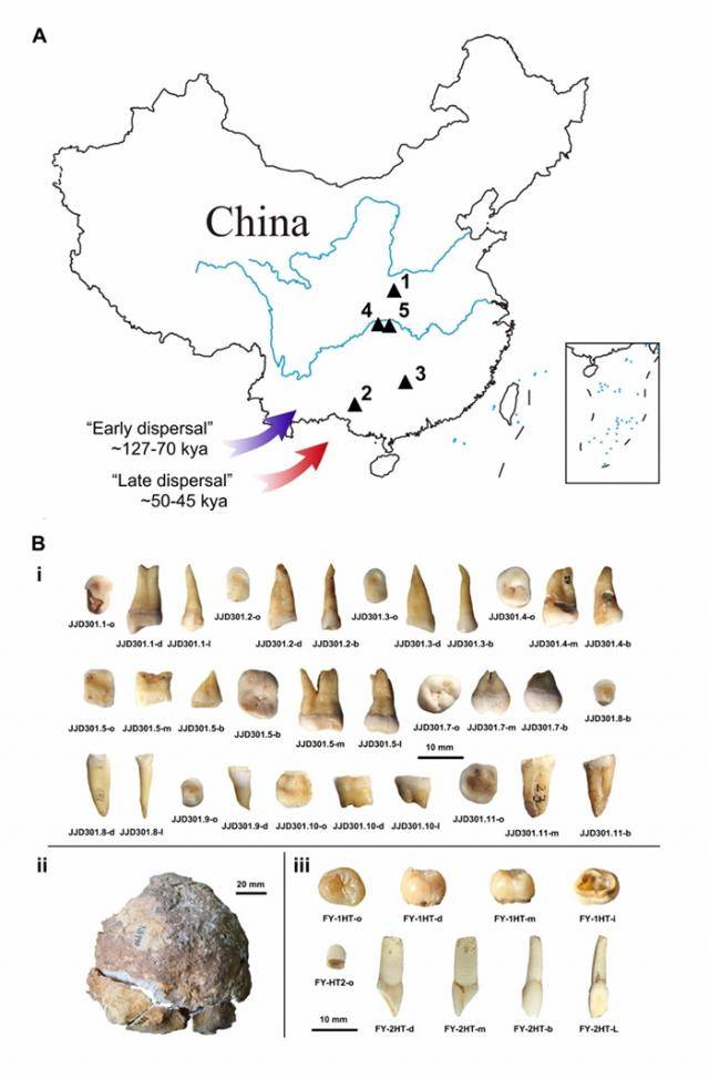 A.该研究涉及的与现代人类起源相关的遗址。1-湖北郧西县黄龙洞、2-广西田东县陆那洞、3-湖南道县福岩洞、4-湖北建始县杨家坡洞、5-湖北宜昌市三游洞（1、2、