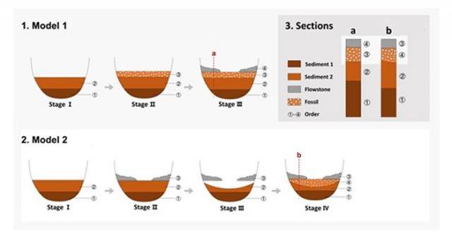 中国南方洞穴遗址地层（化石）堆积模式，1. Model 1-以前研究应用的“理想型”堆积模式；2. Model 2-本研究证明的“假覆盖”堆积模式；3.不同堆