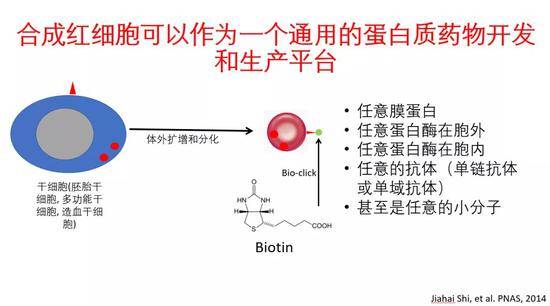 新药研发20年 史家海：红细胞技术如何接轨基因治疗等