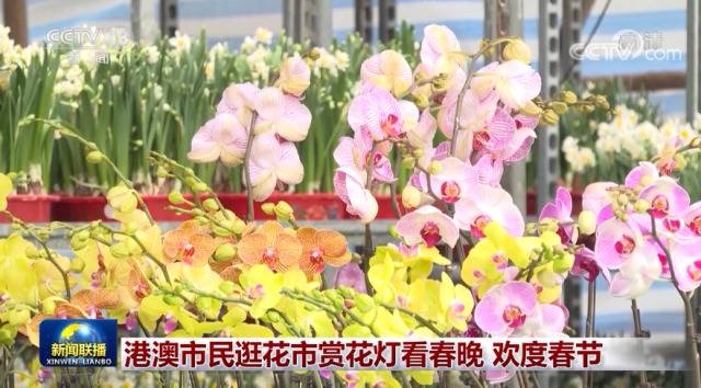 港澳市民逛花市赏花灯看春晚 欢度春节