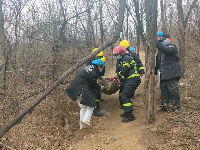 市民大年初一登山求好彩头，不慎骨折求助消防员