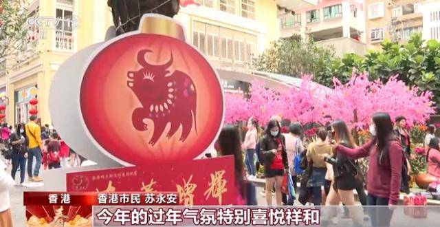 香港街头巷尾年味十足 市民欢喜迎新春