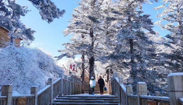 西岭雪山游步道雪景图自西岭雪山景区