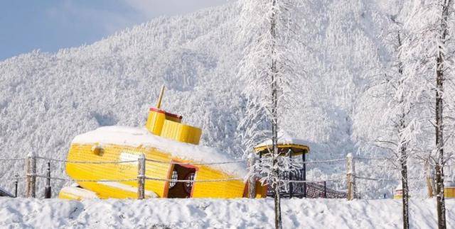 西岭雪山雪景图自西岭雪山景区