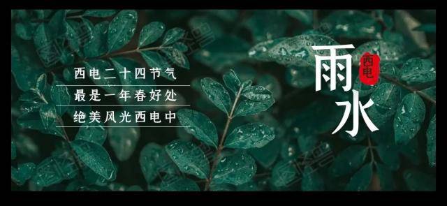 雨水｜西电发芽了，你发了吗？