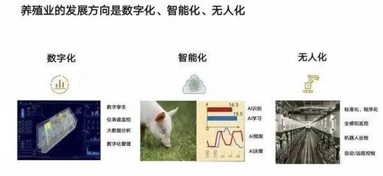 华为推“智慧养猪”，科技巨头为何爱养猪？