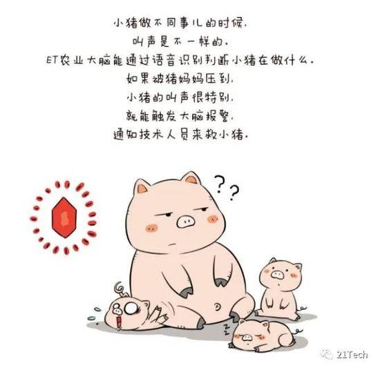 图片来自：阿里云