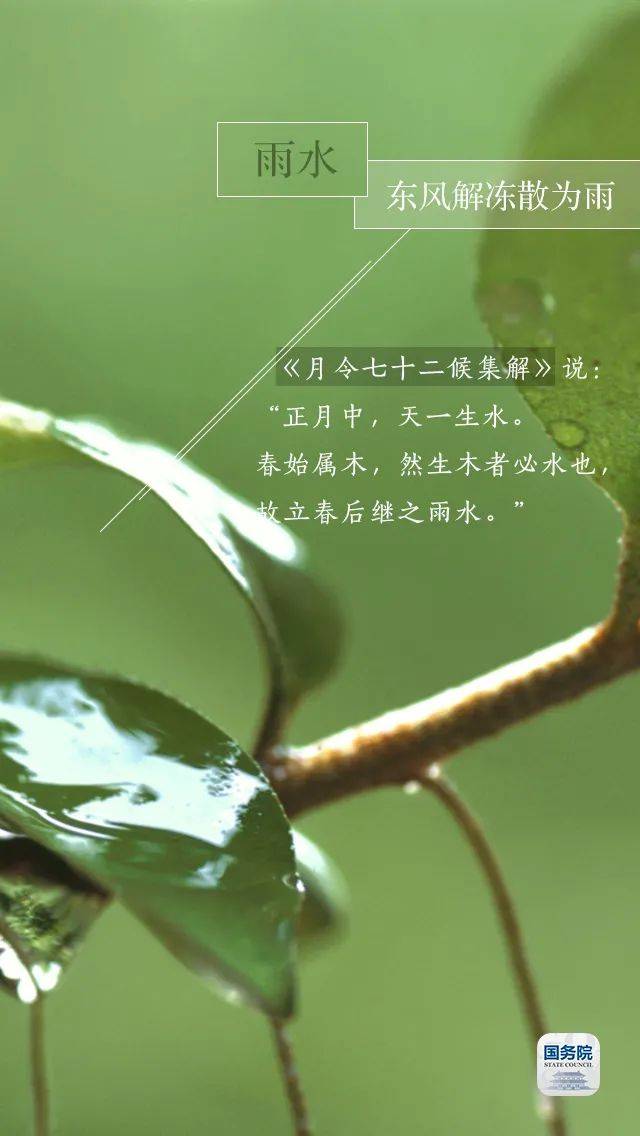 今日雨水 好雨知时节，当春乃发生