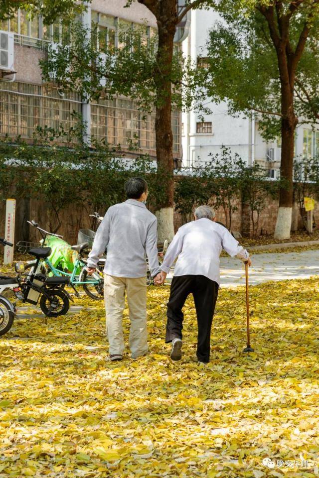 金黄华师，太美了！