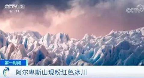 南极又现“西瓜雪”，但这一点也不浪漫……