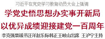 习近平：学党史悟思想办实事开新局 以优异成绩迎接建党一百周年