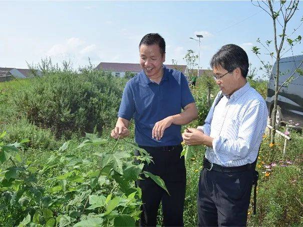 全国脱贫攻坚创新奖！首都精神文明建设奖！这位北师大人不简单