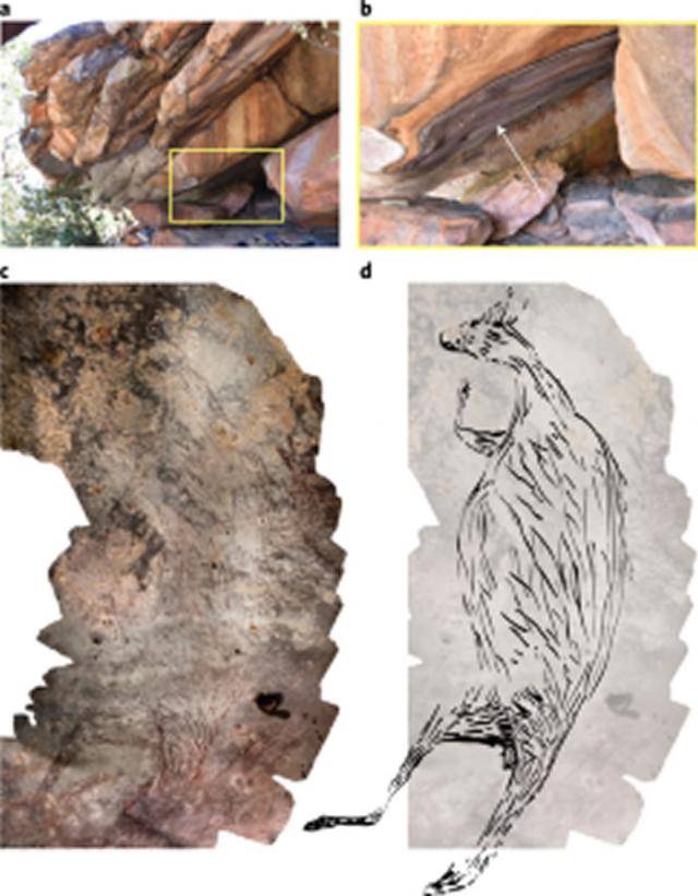 《自然人类行为》：澳大利亚发现1.73万年前袋鼠岩画