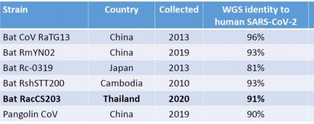 千万别上当！有人开始拿这事挑拨中国和泰国关系了