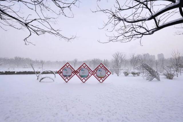 春雪，落在郑大！