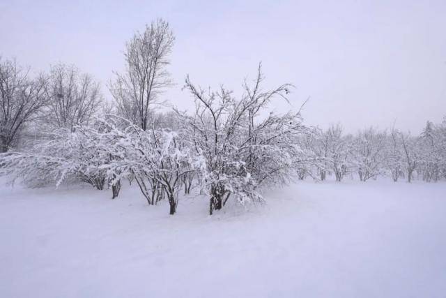 春雪，落在郑大！