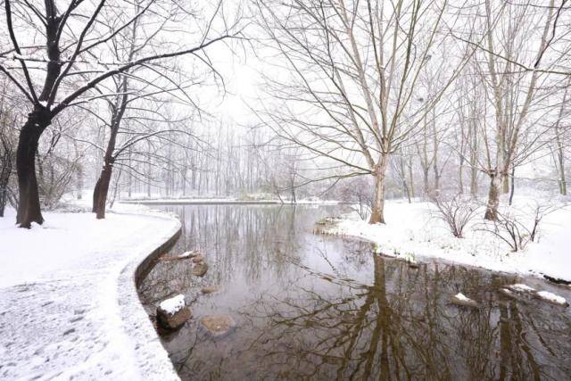 春雪，落在郑大！