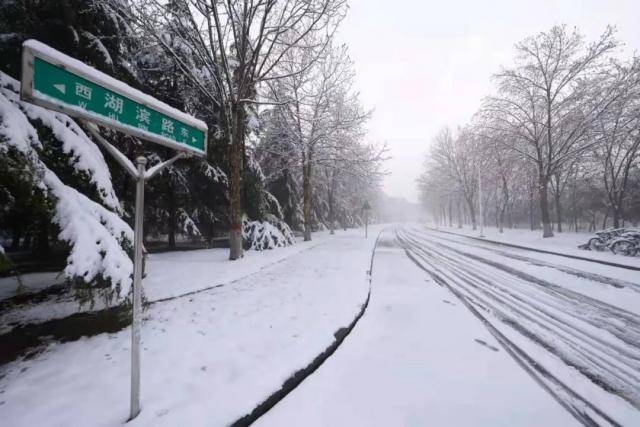 春雪，落在郑大！