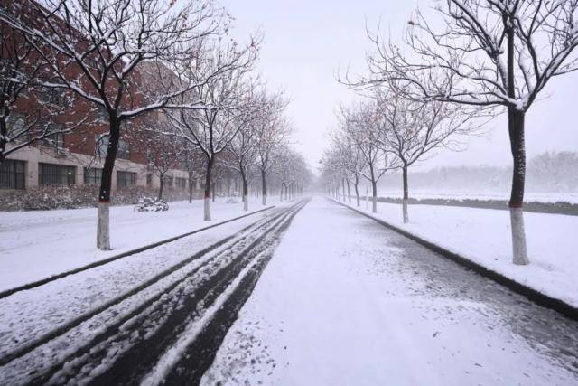 春雪，落在郑大！