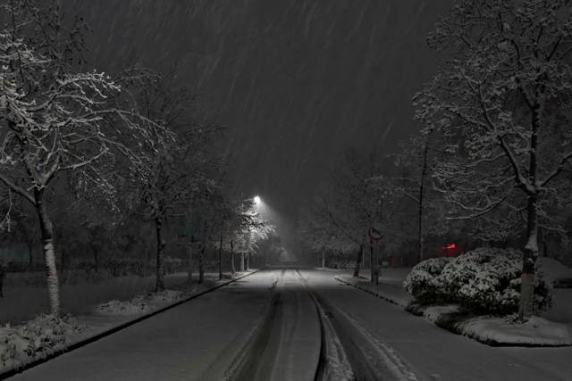 春雪，落在郑大！