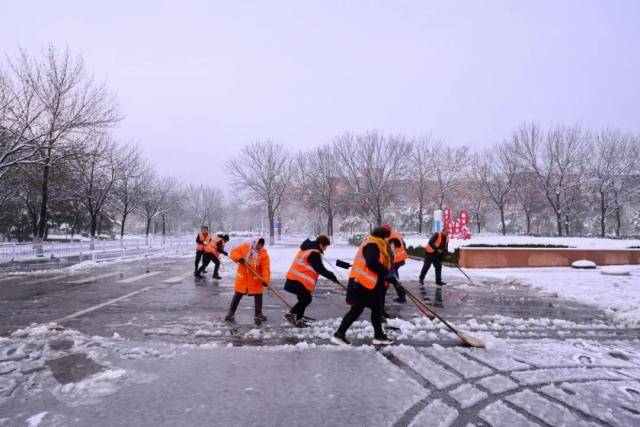 春雪，落在郑大！