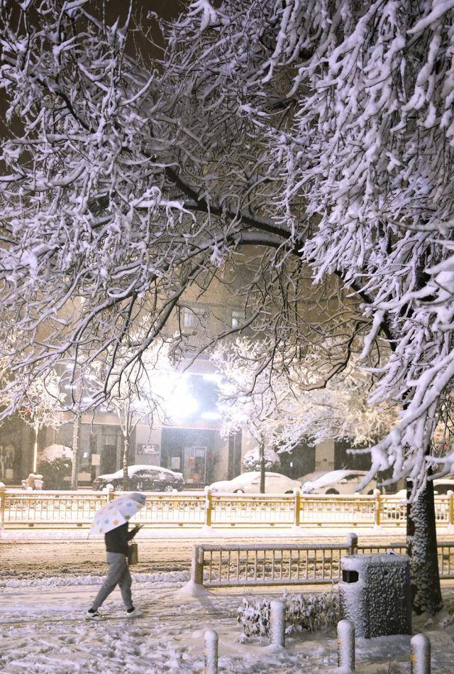 正月十五雪挑灯：牛年最大规模雨雪上线！