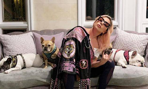 Lady Gaga与爱犬