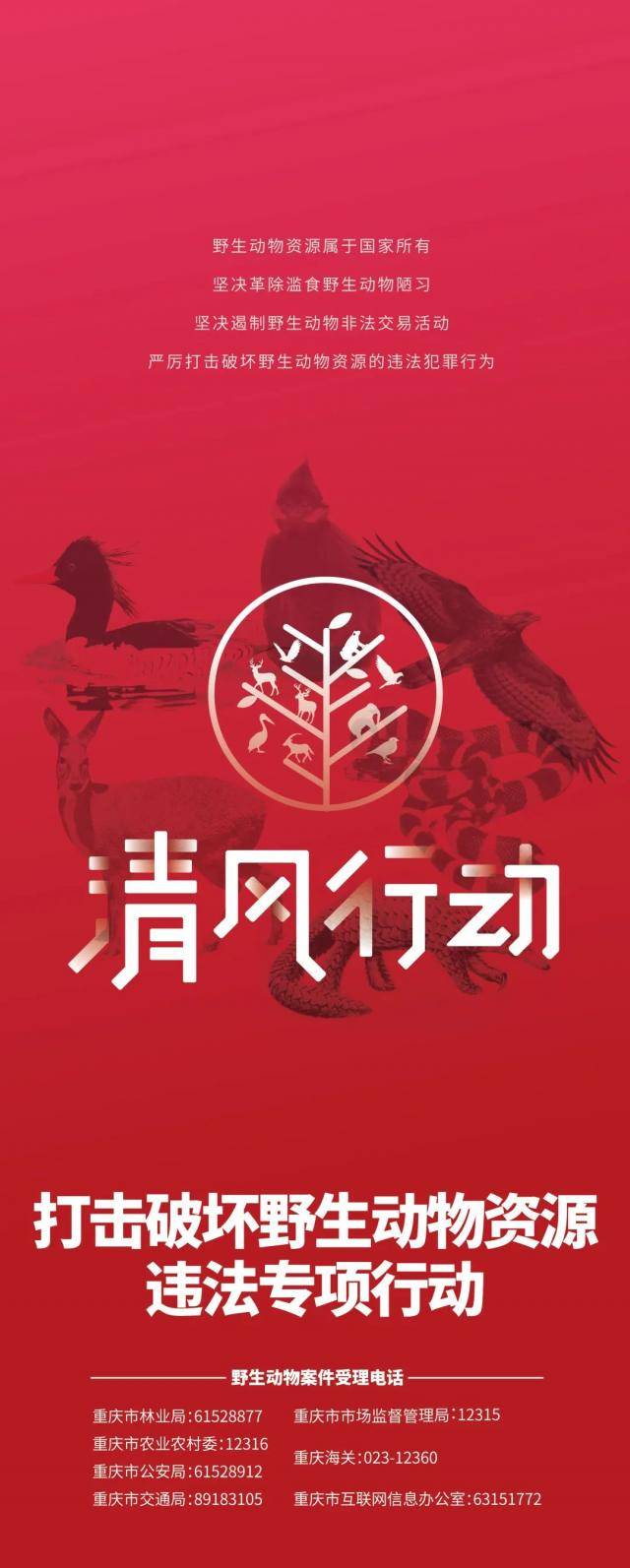 @重庆人 发现这10种行为，请及时举报！