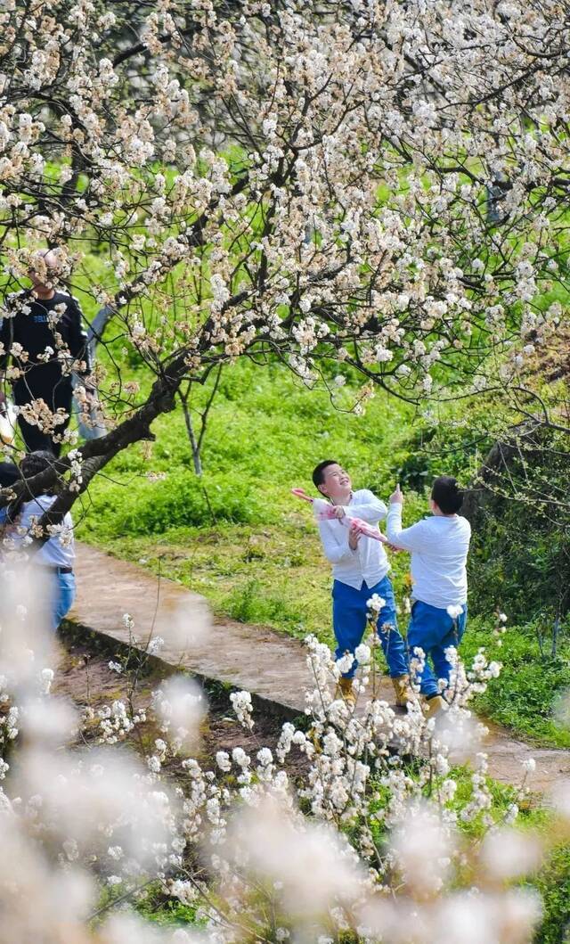 拍摄百花之美，300个奖项等你拿