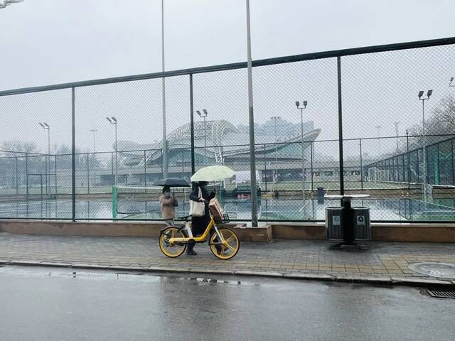 春雨纷纷，北理工校园的春天来了！