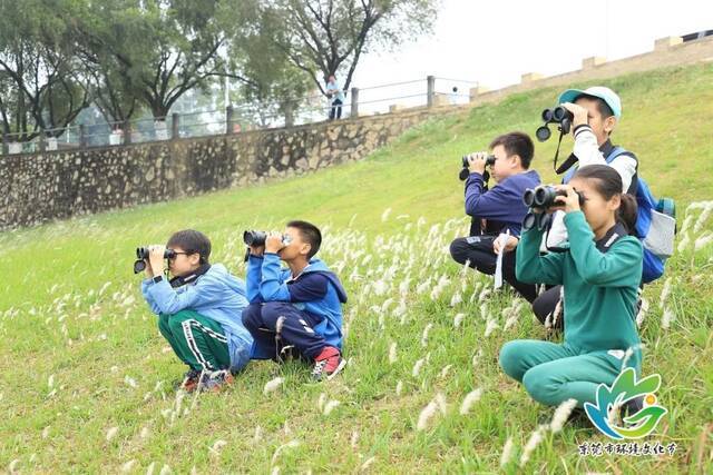 阮老师观测中拍摄到的部分图片