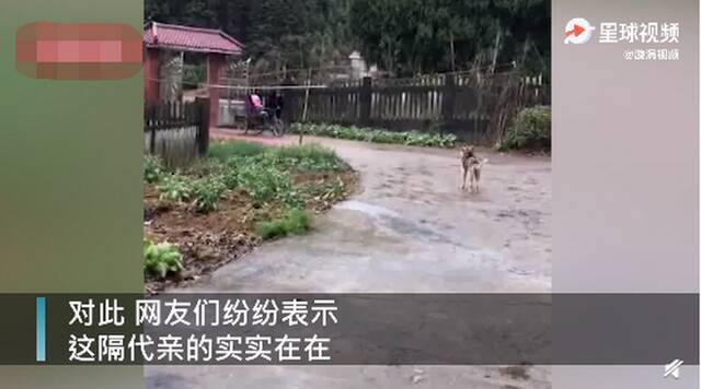 老人冒雨骑车5公里只为给重外孙女买气球 网友：隔辈亲