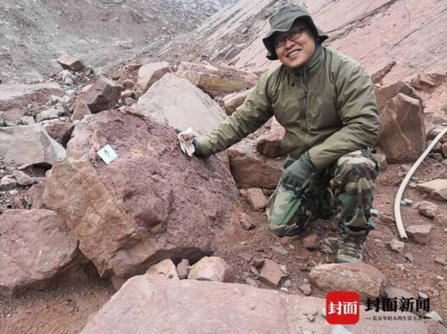 古生物学家在垮塌的岩石上，发现了鸭嘴龙类足迹