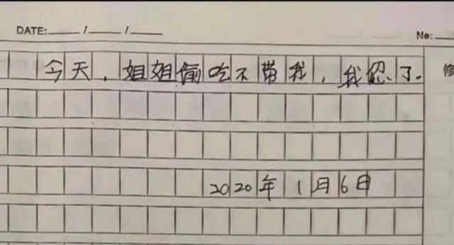 姐姐发现弟弟暗藏的记仇本，几乎每一页都写着“我忍了”，最后笑喷！