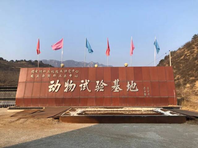 2月26日，河北省承德市丰宁满族自治县的大草坪村，这里有国家饲料工程技术研究中心、农业部饲料工业中心动物试验基地，京东的智能养猪示范点也在这里。