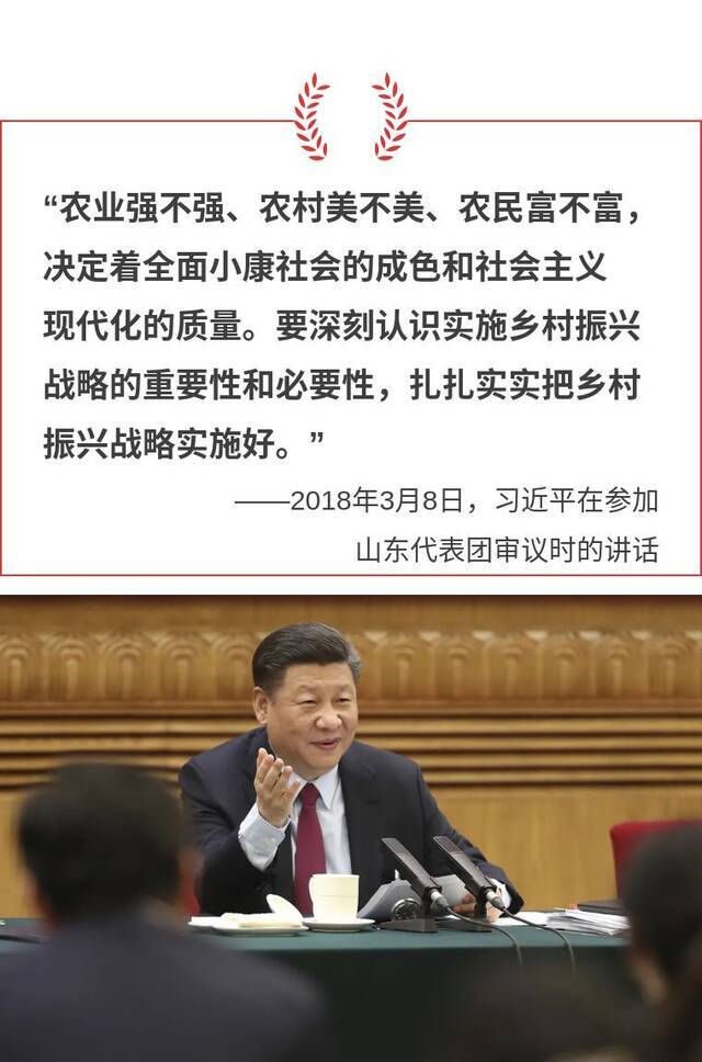 镜观·领航丨聚焦两会·落实部署见真章