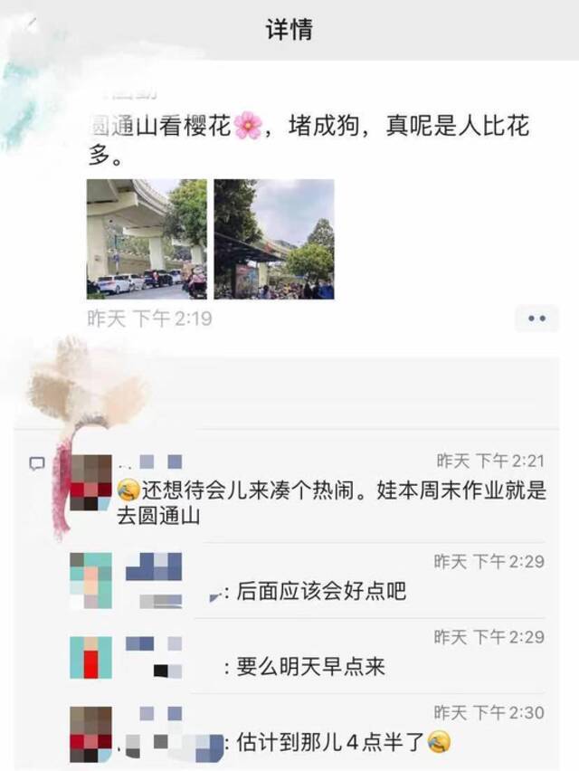 连续2天堵成“猪肝色”！昨天2万人扎堆昆明这里赏花！市民：人比花多