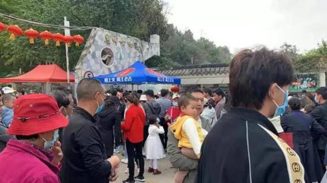 连续2天堵成“猪肝色”！昨天2万人扎堆昆明这里赏花！市民：人比花多