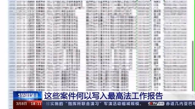 张玉环案、赖小民案……还有哪些案件写入最高法工作报告？