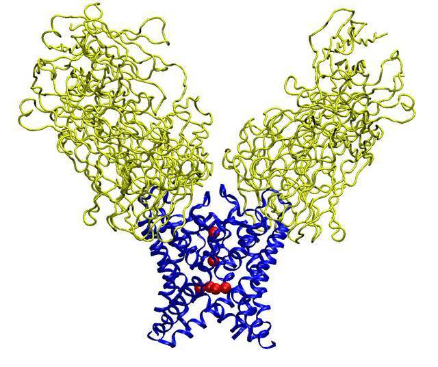 登上《PNAS》！上理工这项合作科研成果很“硬核”