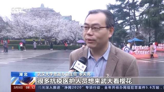 武汉大学樱花盛开 昨天起对公众开放